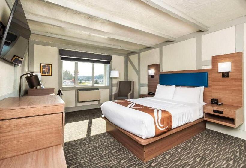 Номер Стандарт, Quality Inn Waddling Dog