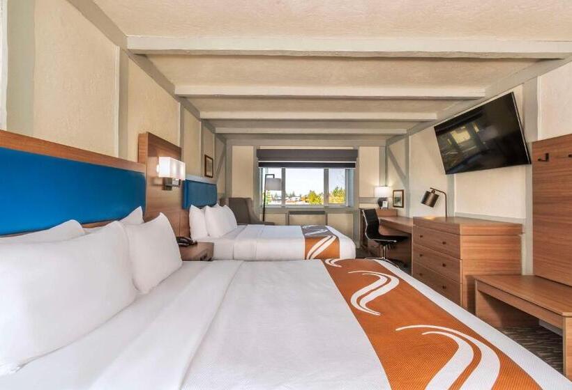 Номер Стандарт, Quality Inn Waddling Dog