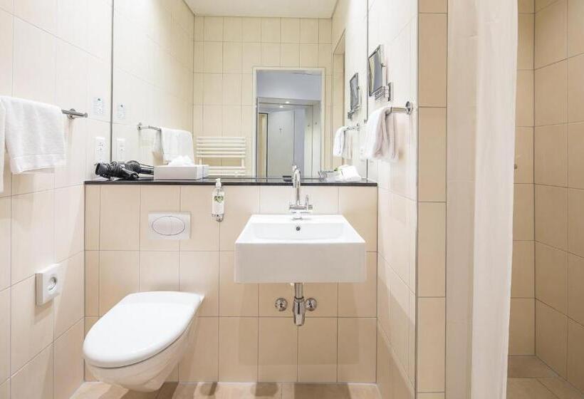 Номер Economy Индивидуальный, Schweizerhof Basel