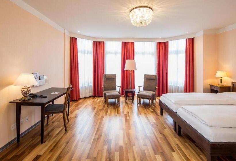 Номер Стандарт Индивидуальный, Schweizerhof Basel