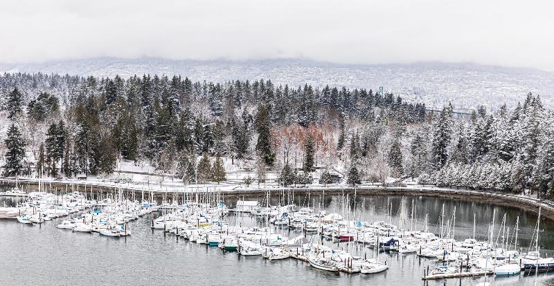 キングサイズベッドのスタンダードルーム, The Westin Bayshore, Vancouver