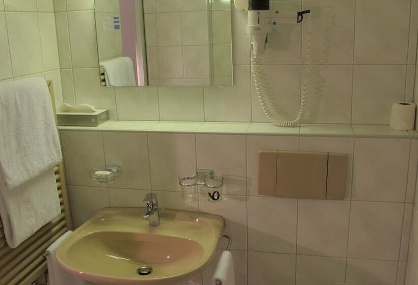 Quarto Estandar Individual, Alpina Luzern