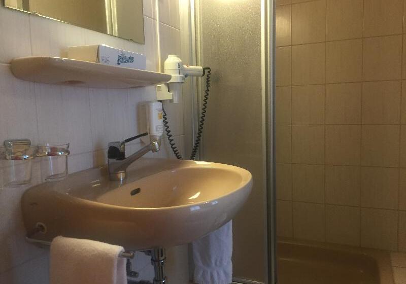 Quarto Triplo Estandar, Alpina Luzern