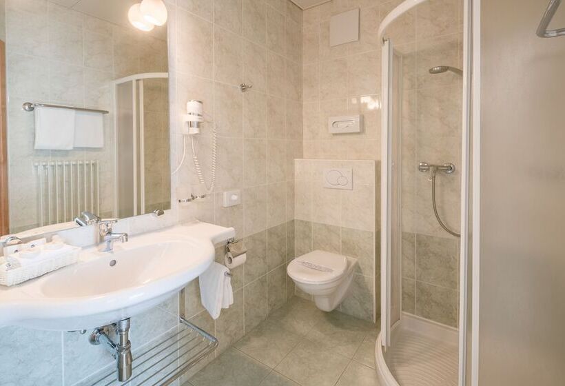 Полулюкс с Балконом, Best Western Hotel Bellevue Au Lac