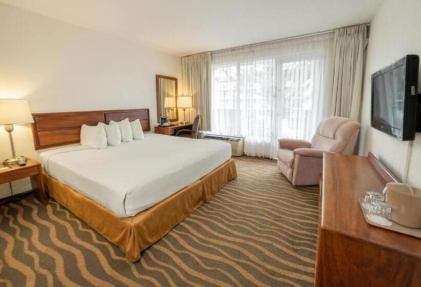 스탠다드 룸 킹사이즈 침대, Irazú Hotel & Studios