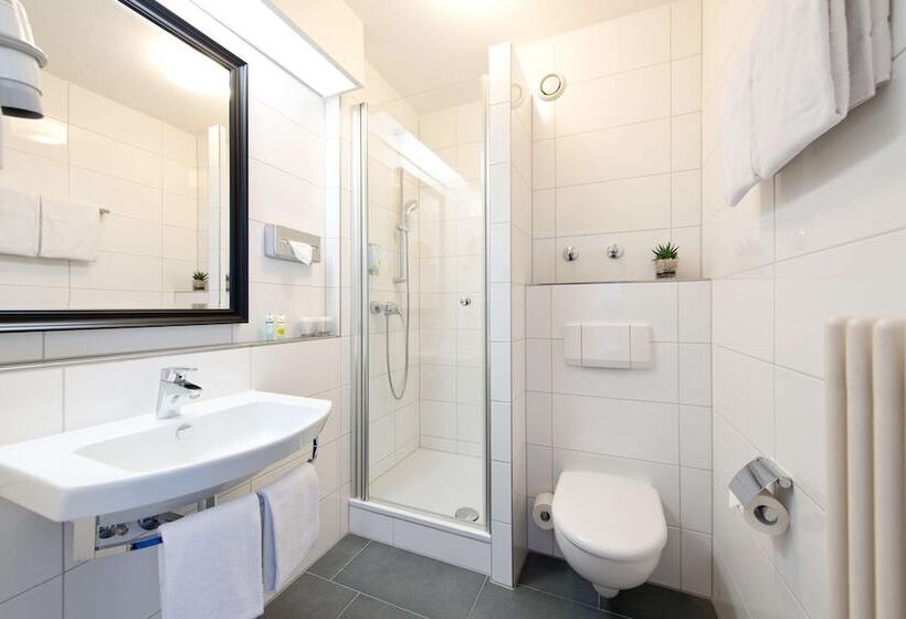 수피리어 싱글 룸, Achat Hotel Neustadt An Der Weinstraße