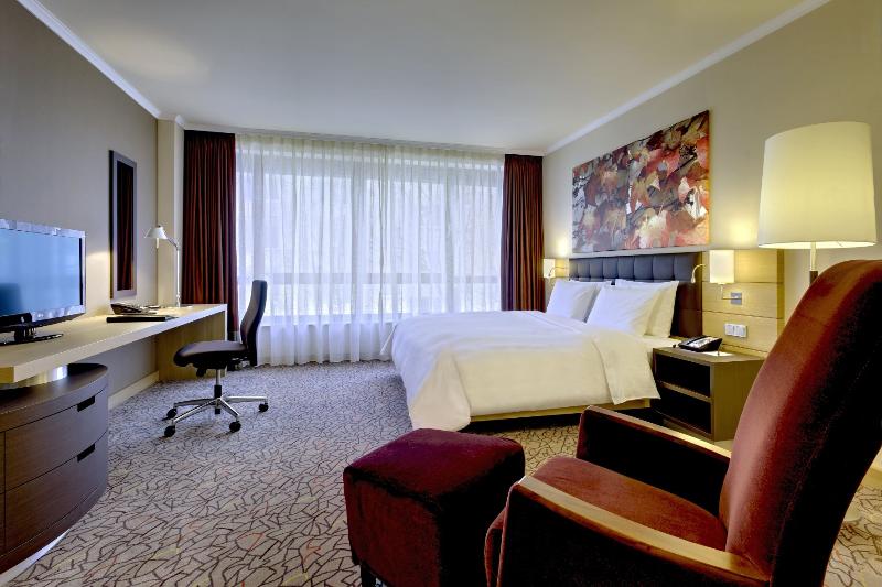 キングサイドベッドのスタンダードワンルーム, Hilton Mainz