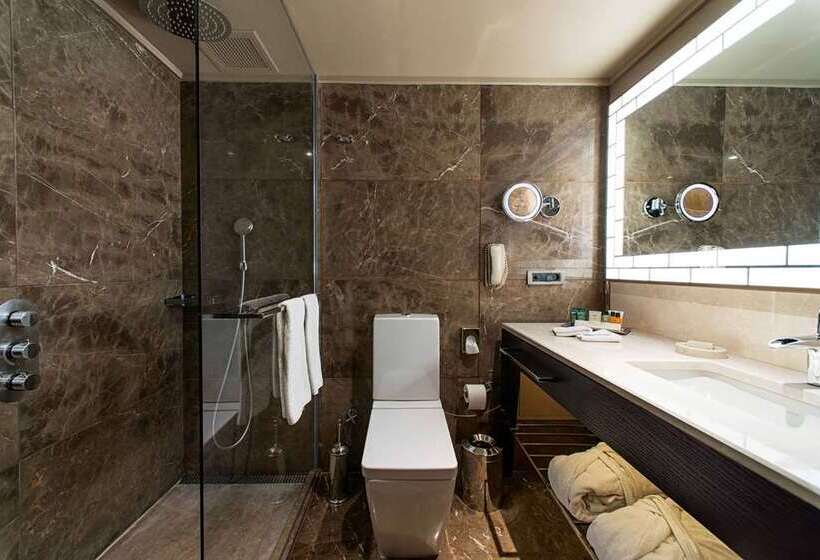 行政房间, Hilton Mainz