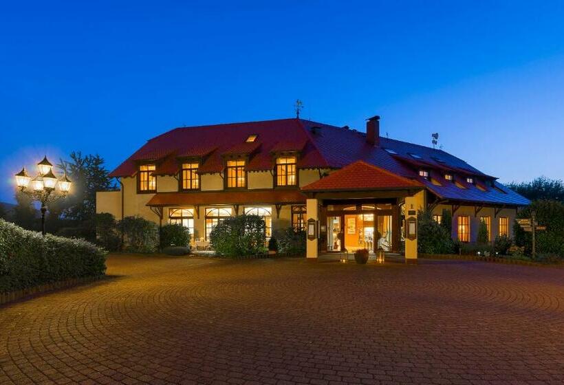 Номер Комфорт Индивидуальный, Krone Am Park   Gästehaus Des Hotel Krone