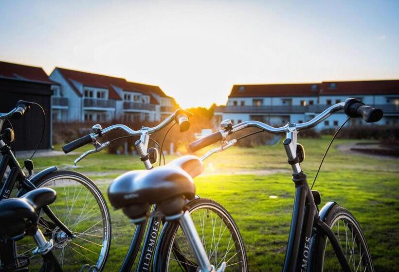 آپارتمان 1 خوابه, Color Hotel Skagen