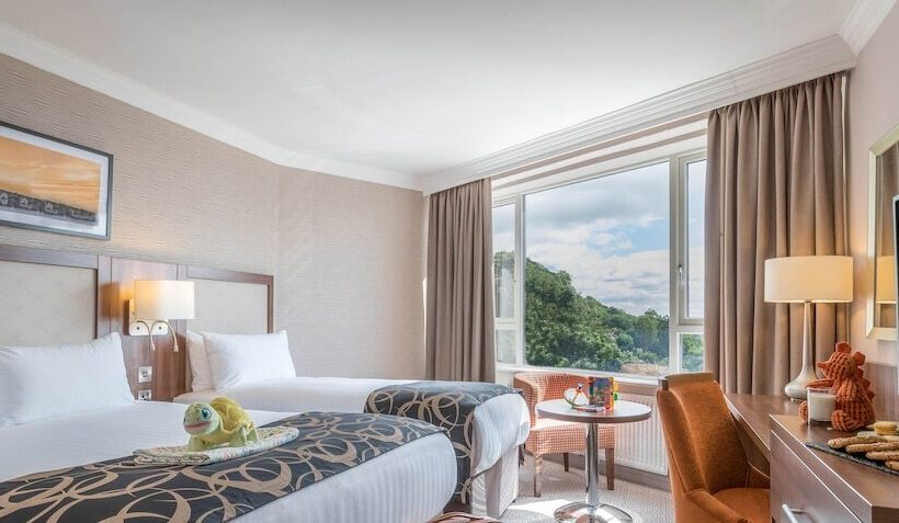 싱글 디럭스 룸, Clayton Hotel Silver Springs