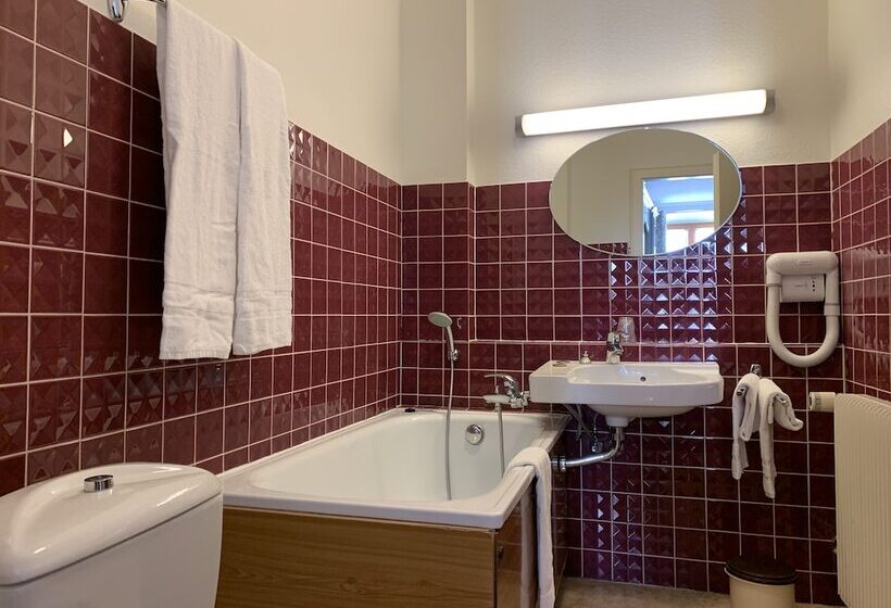 Номер Стандарт Индивидуальный, Logis Cit Hôtel Des Vosges 5 Rue De La Gare