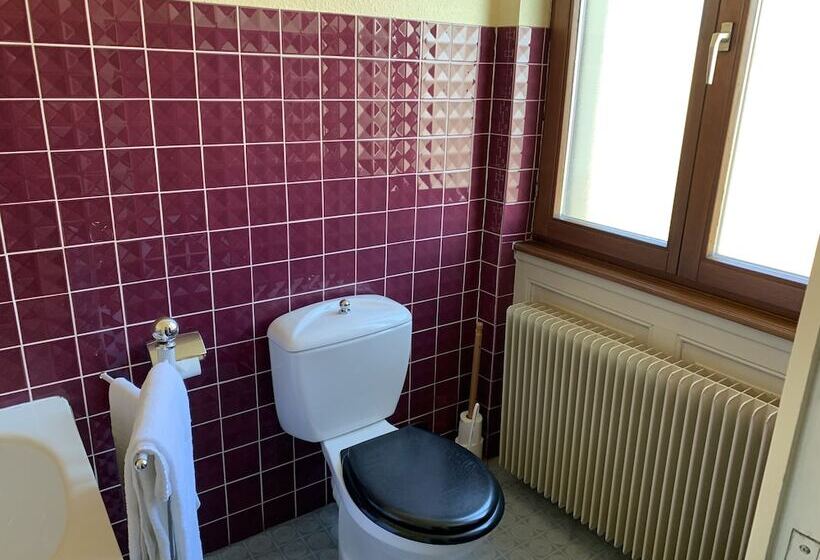 Номер Стандарт Трехместный, Logis Cit Hôtel Des Vosges 5 Rue De La Gare