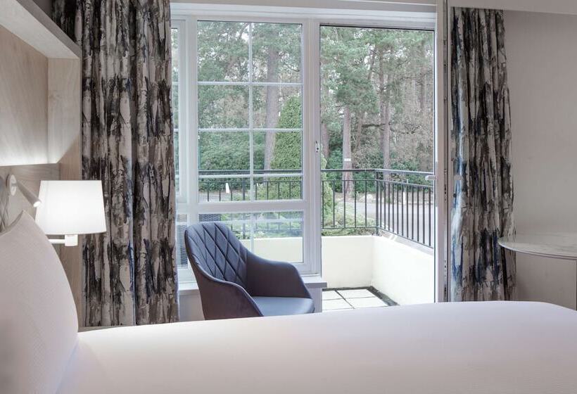 Номер Стандарт Двуспальная Кровать, Hilton Cobham