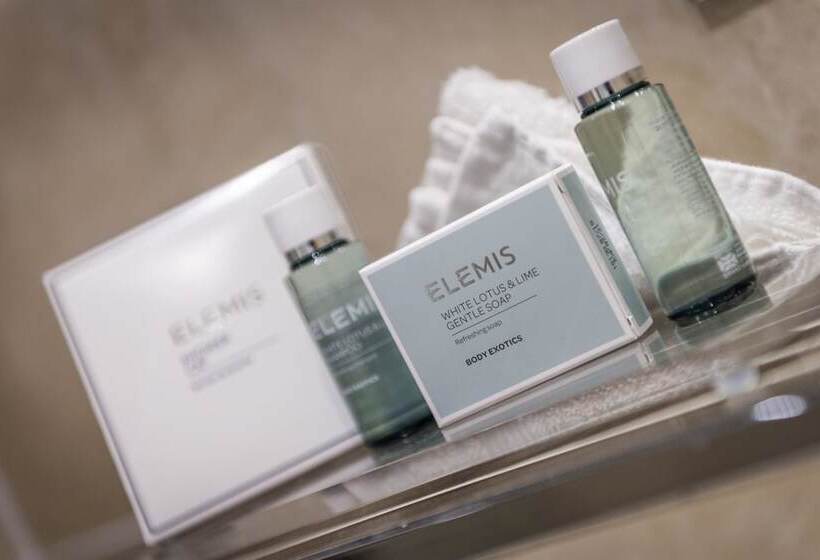 Номер Deluxe, Macdonald Alveston Manor Hotel & Spa