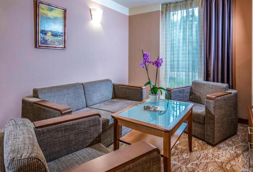 Номер Superior, Dráva Hotel Thermal Resort