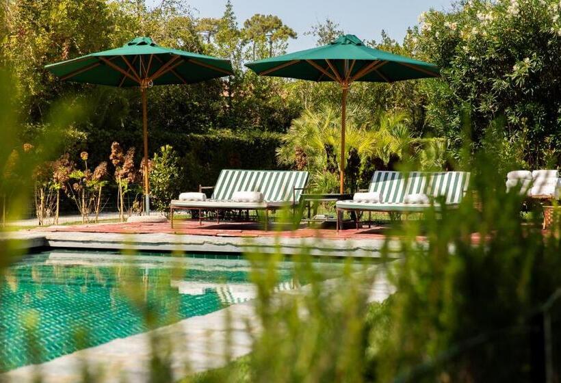 سوییت با چشم‌انداز استخر, California Park