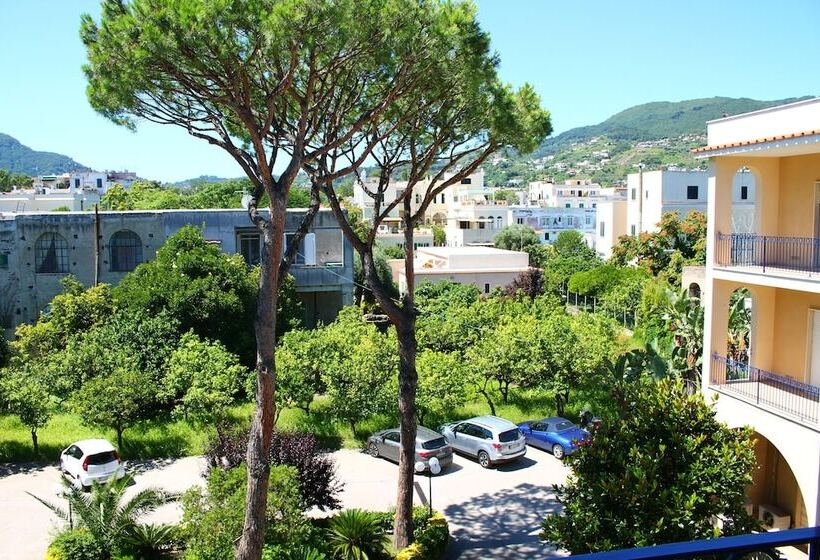 Quarto Estandar Vista Jardim, Terme Alexander