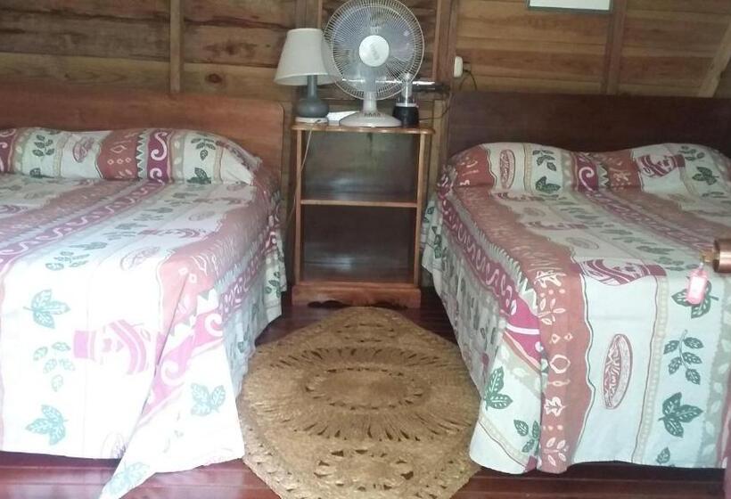 Standard Room, Secret Cabins At Firefly Beach