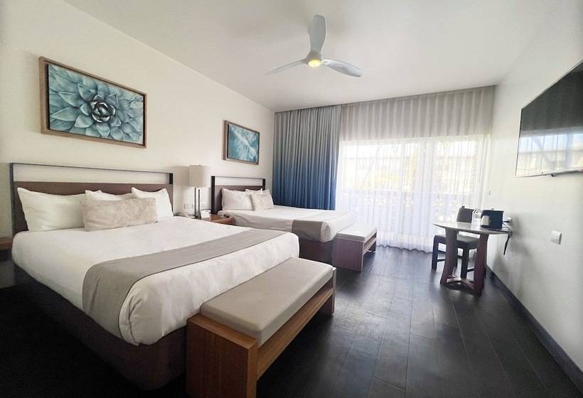 デラックスルーム, San Nicolas Hotel Casino