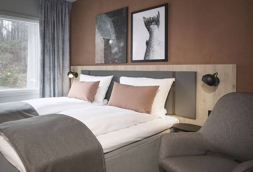 Номер Стандарт, Scandic Kokstad