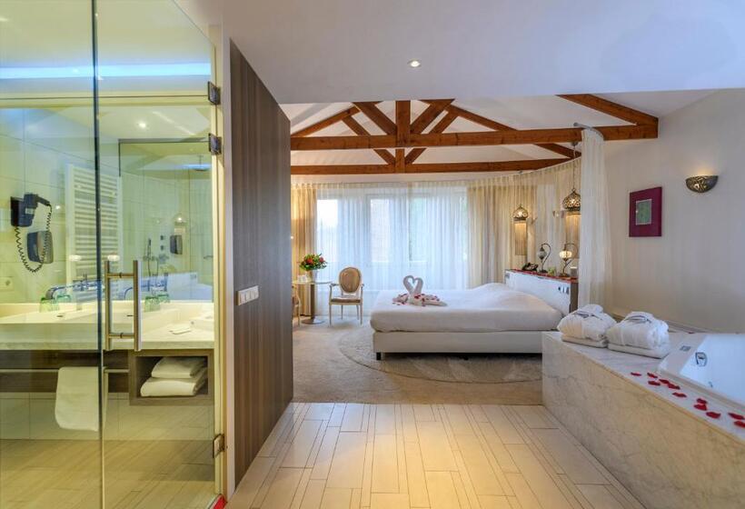 Люкс, Parkhotel Valkenburg