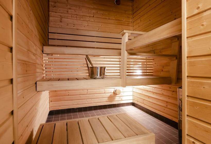 Люкс, Lapland Hotels Hetta