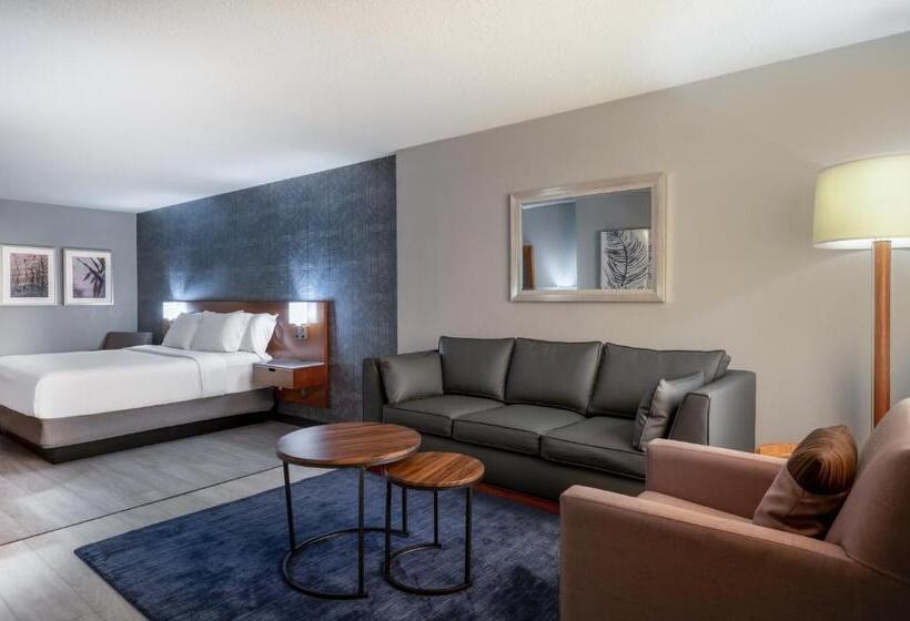 Habitación Ejecutiva Cama King, Wyndham Indianapolis Airport