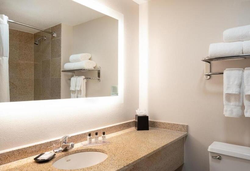 Habitación Estándar, Wyndham Indianapolis Airport