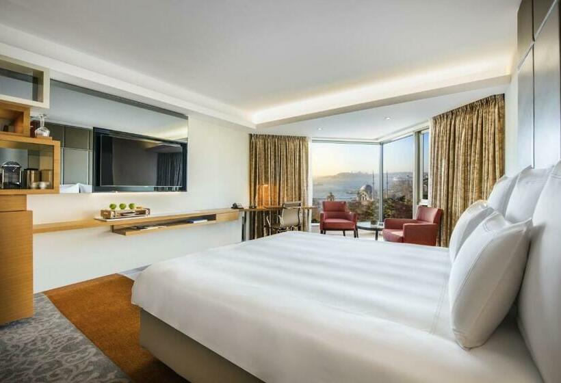 キングサイズベッドのスタンダードルーム, Swissotel The Bosphorus Istanbul
