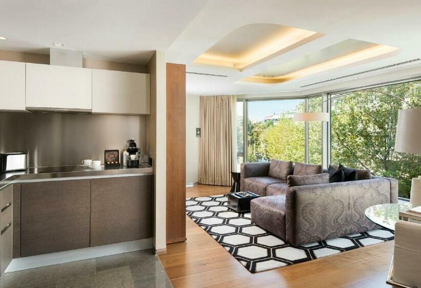 １ベッドルームアパートメント, Swissotel The Bosphorus Istanbul