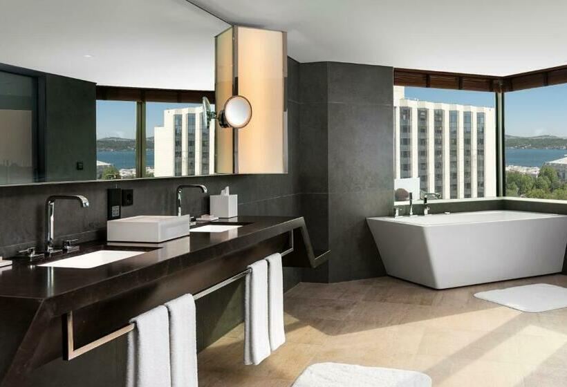 ２ベッドルームアパートメント, Swissotel The Bosphorus Istanbul