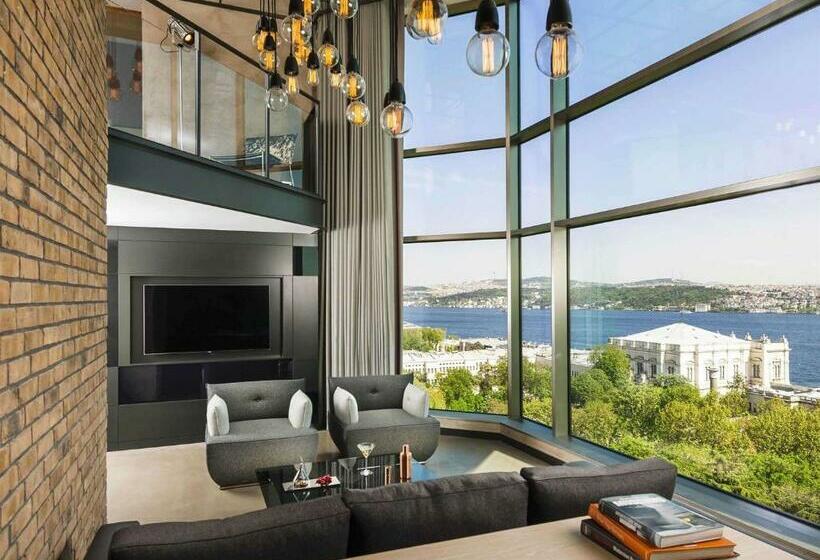 スタンダードルーム, Swissotel The Bosphorus Istanbul