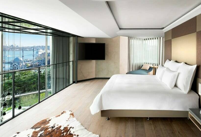 テラスつきの２ベッドルームアパートメント, Swissotel The Bosphorus Istanbul