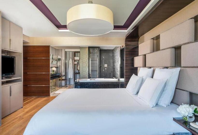 １ベッドルームアパートメント, Swissotel The Bosphorus Istanbul