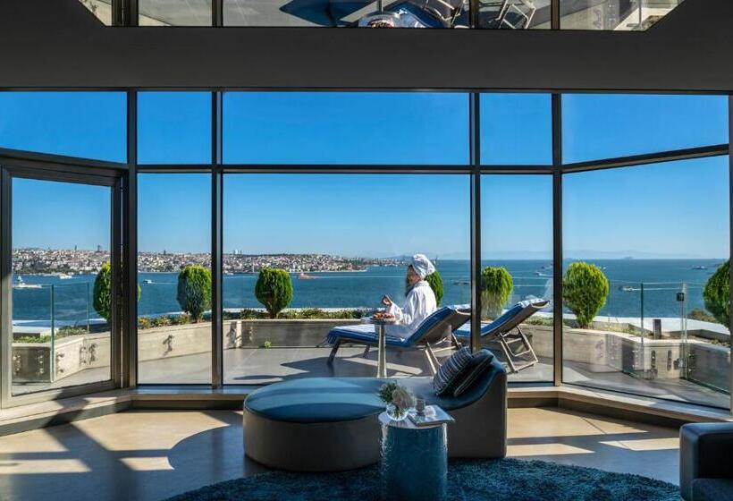 テラスつきの２ベッドルームアパートメント, Swissotel The Bosphorus Istanbul