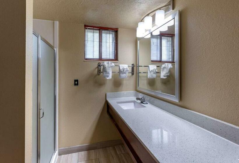 Номер Стандарт Кровать Кинг Адаптированный для Инвалидов, Best Western Dunmar Inn