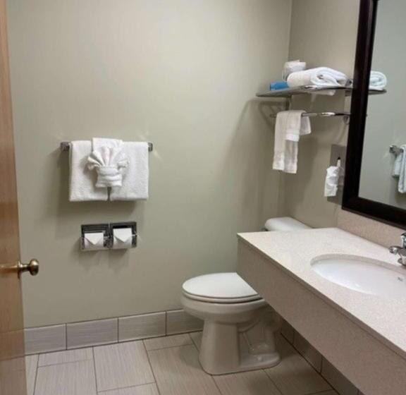 Стандартный Номер Кровать Кинг, Best Western Inn