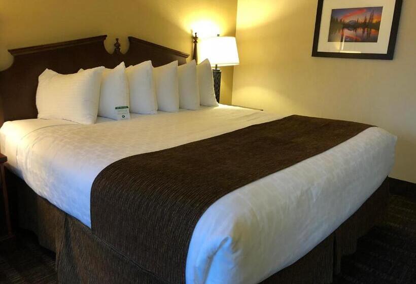 适合残疾人士使用的带超级大床的标准间, Best Western Lakewood  Historic Landmark