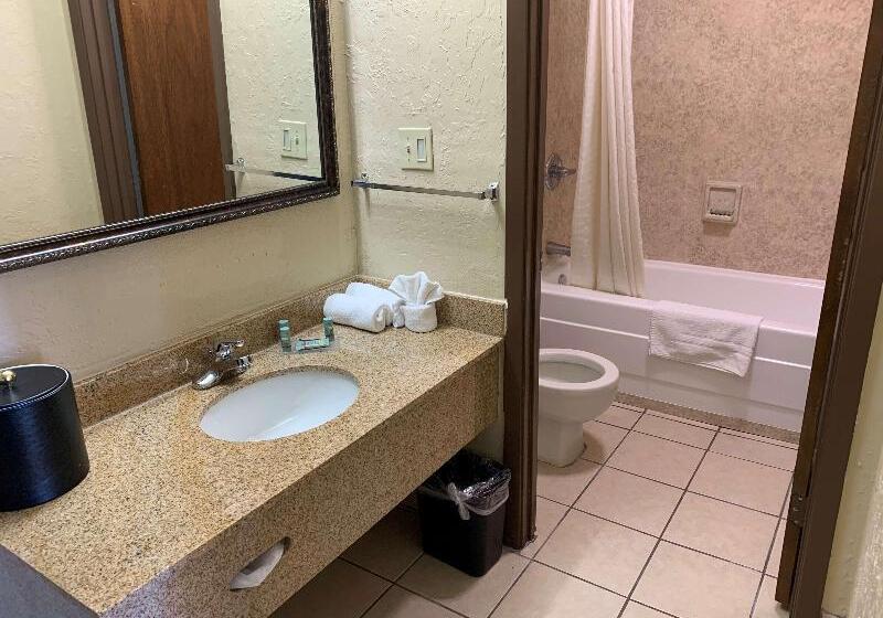 Стандартный Номер Кровать Кинг, Best Western Of Hope
