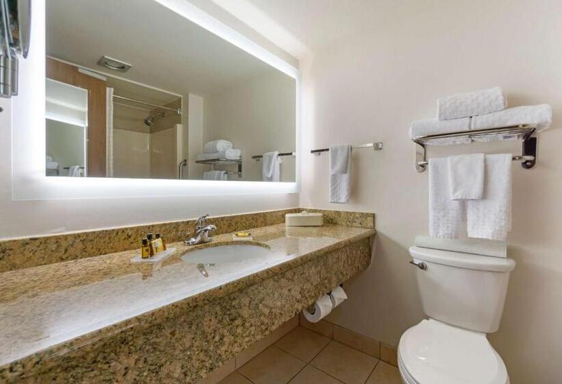 스탠다드 룸 킹사이즈 침대, Best Western Plus Oak Harbor Hotel And Conference Center