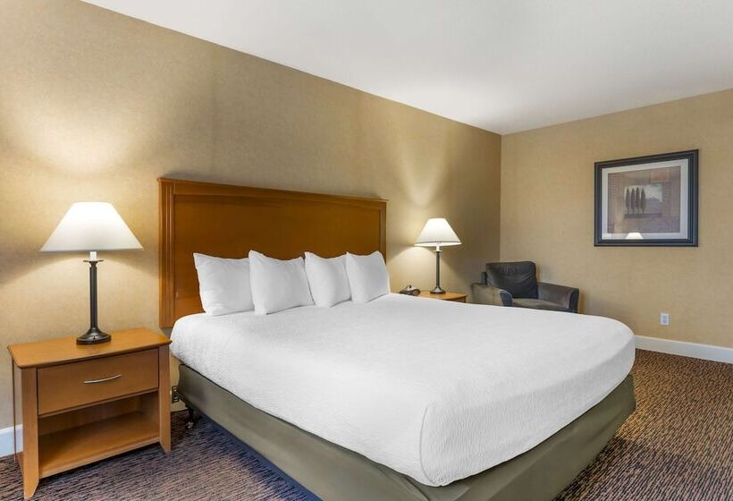 Номер Стандарт Двуспальная Кровать, Best Western Plus Placerville Inn