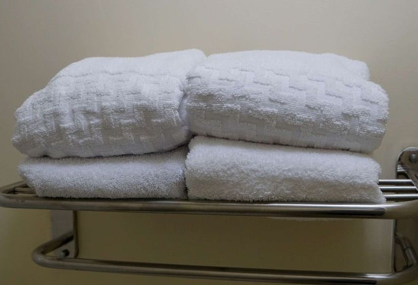 스탠다드 룸 더블 침대 2개, Best Western Point South