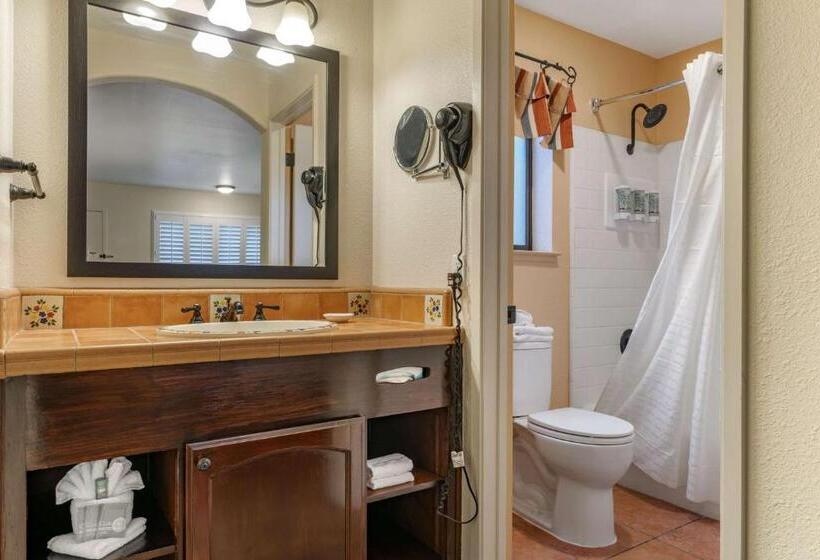스탠다드 룸 킹사이즈 침대, Best Western Rose Garden Inn