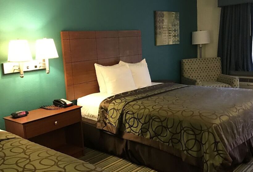 스탠다드 룸 더블 침대 2개, Best Western Tallahasseedowntown Inn And Suites