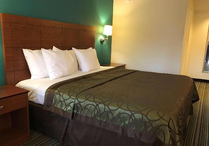 스탠다드 룸 킹사이즈 침대, Best Western Tallahasseedowntown Inn And Suites