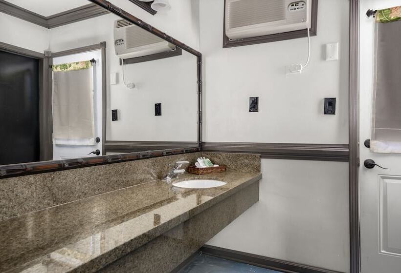 Suite, Caliente Tropics