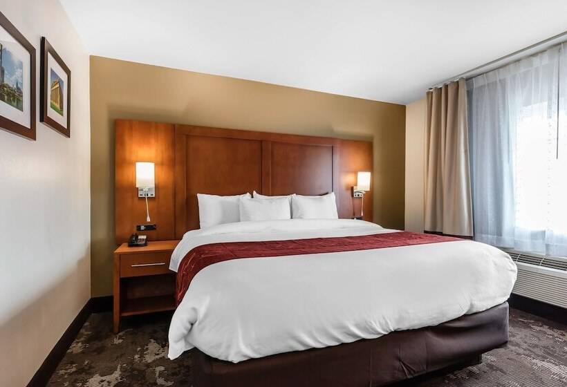 Люкс, Comfort Inn & Suites Nashville Near Tanger Outlets I 24 Antioch