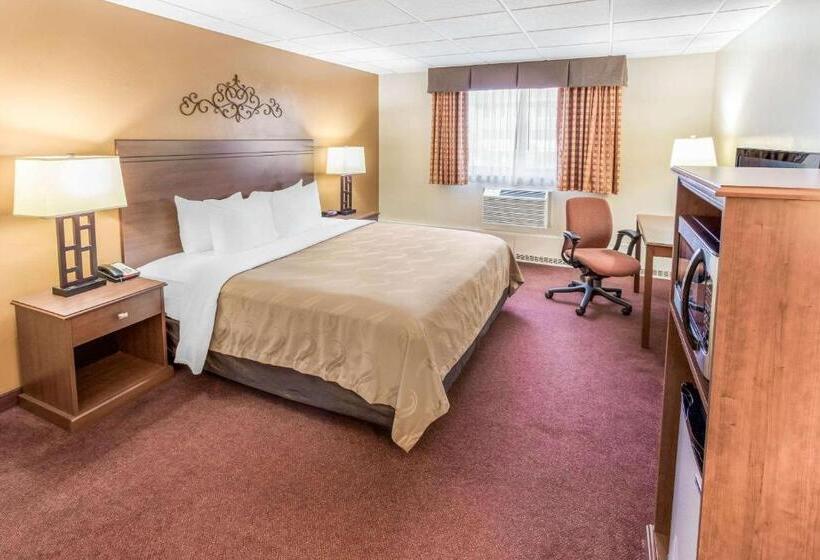 스탠다드 룸 킹사이즈 침대, Quality Inn & Suites Downtown