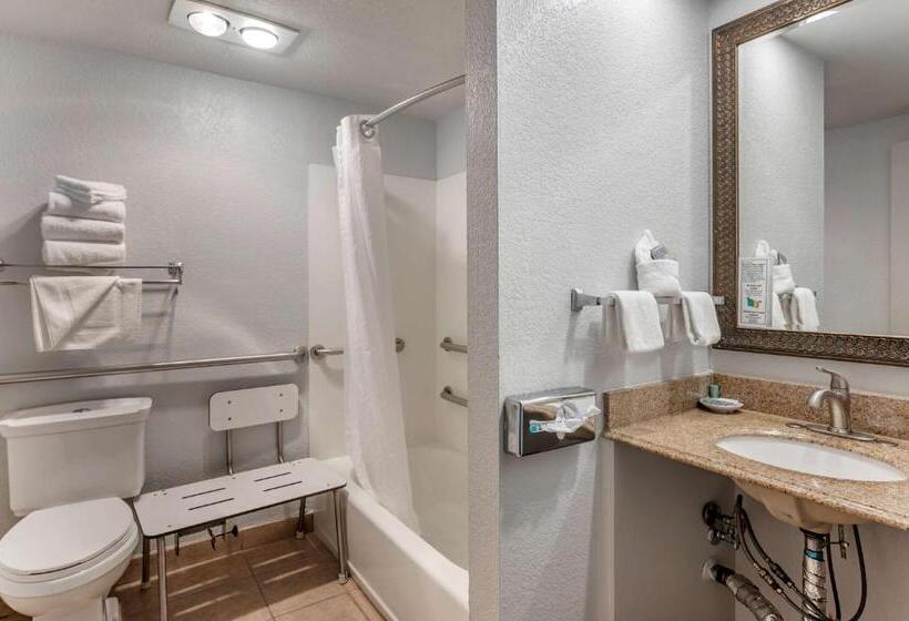 Номер Стандарт Кровать Кинг Адаптированный для Инвалидов, Best Western San Marcos Inn